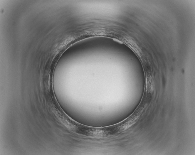 X0000087360301200704201154