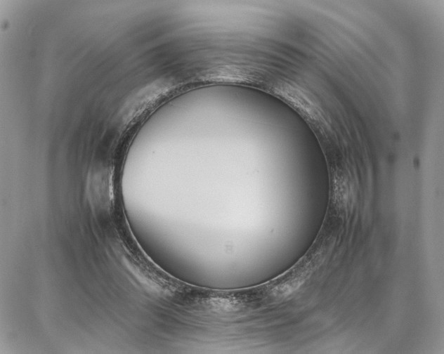 X0000087360302200704201154