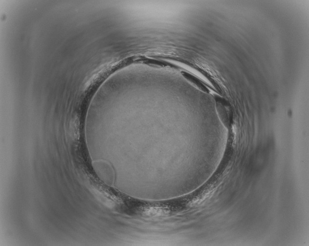X0000087360303200704201154