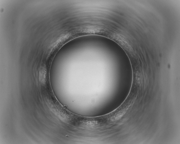X0000087360304200704201154