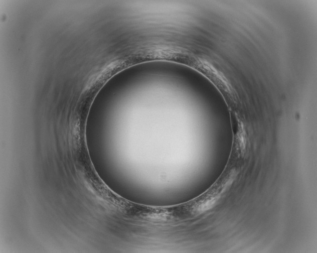 X0000087360306200704201154