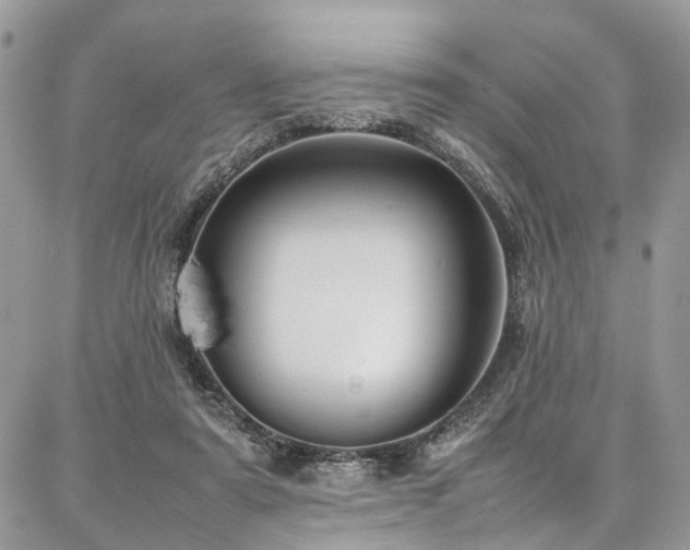 X0000087360307200704201154