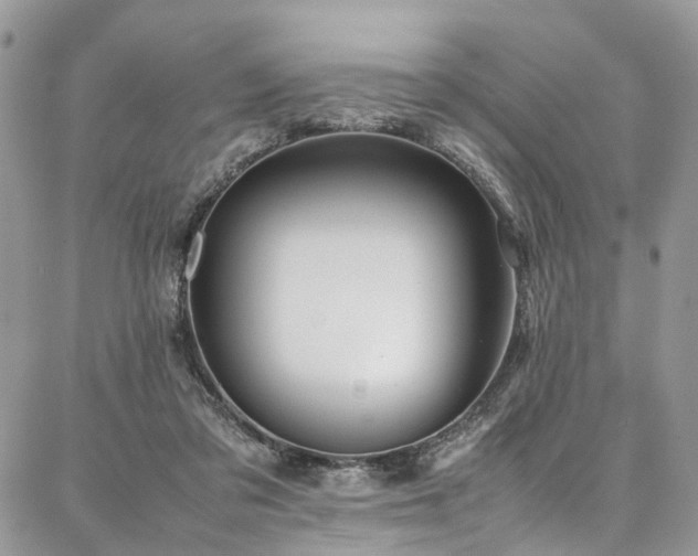 X0000087360309200704201154