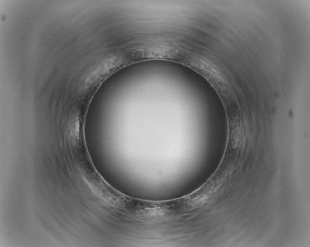 X0000087360310200704201154