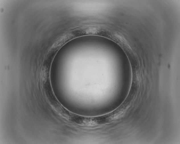 X0000087360311200704201154