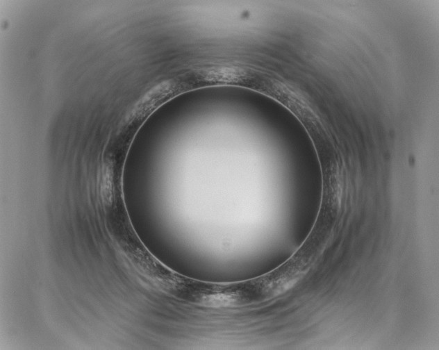 X0000087360312200704201154