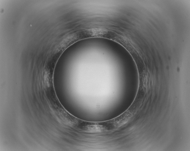 X0000087360316200704201154
