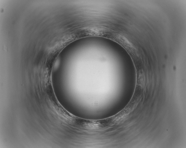X0000087360318200704201154