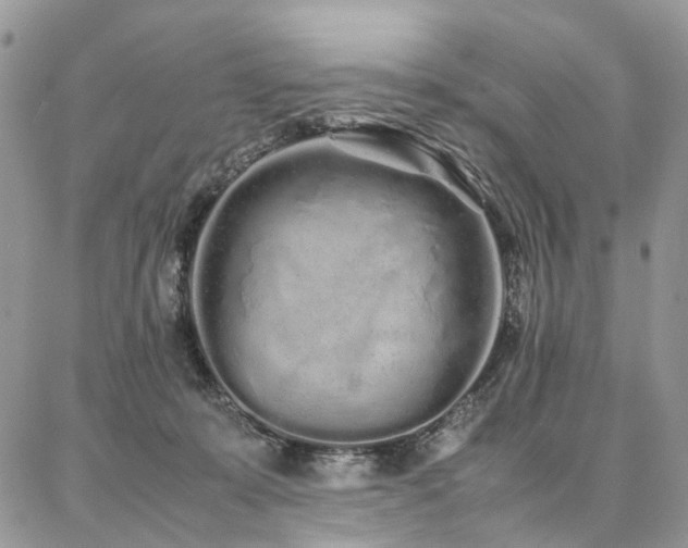 X0000087360319200704201154