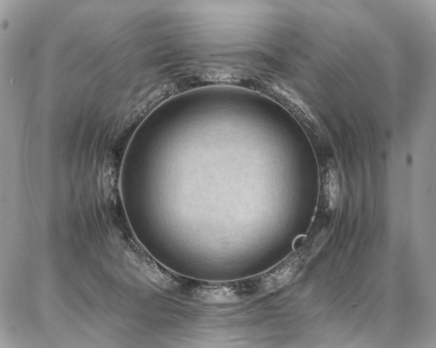X0000087360322200704201153