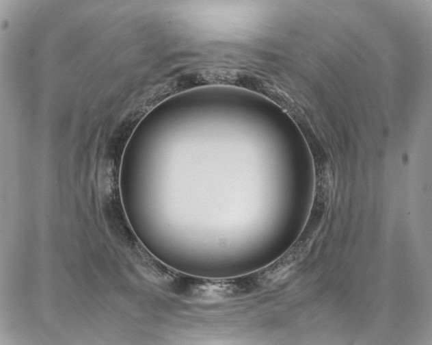 X0000087360323200704201153