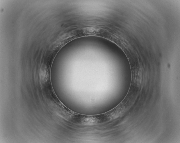 X0000087360324200704201153
