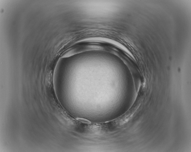 X0000087360325200704201153