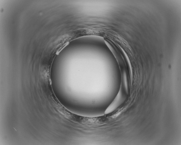 X0000087360329200704201153