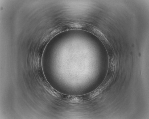 X0000087360330200704201153