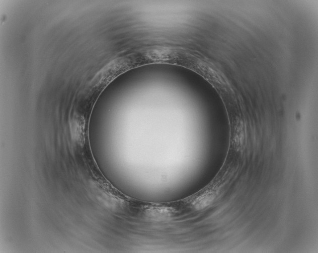 X0000087360332200704201153