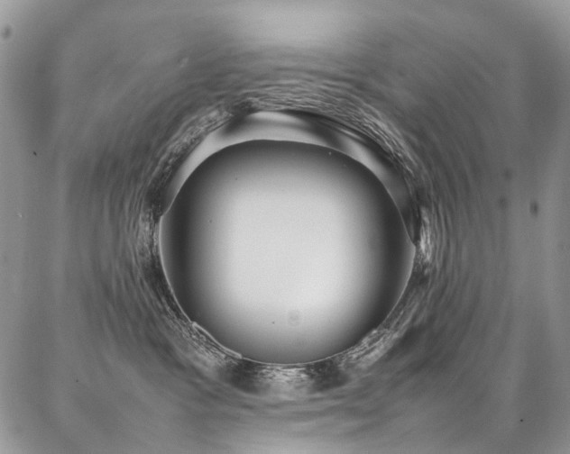 X0000087360333200704201153