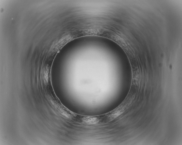 X0000087360334200704201153