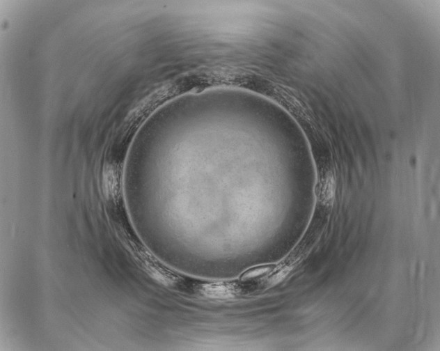 X0000087360335200704201153