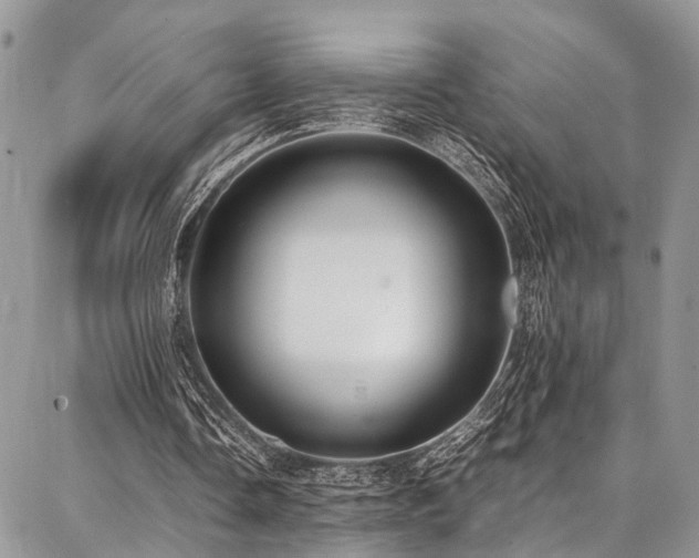 X0000087360338200704201152