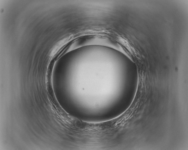 X0000087360340200704201153