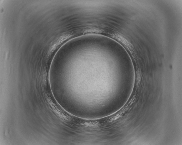 X0000087360345200704201153