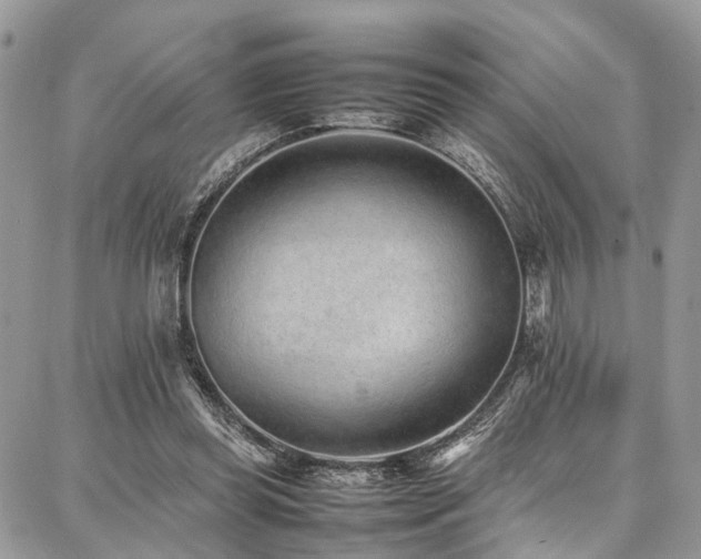X0000087360349200704201153