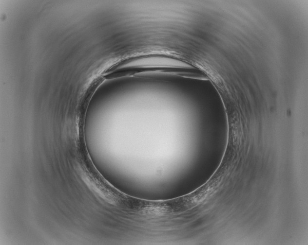 X0000087360350200704201153