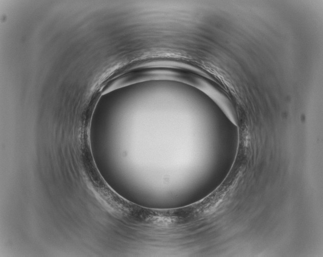 X0000087360352200704201153
