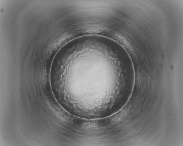 X0000087360354200704201153