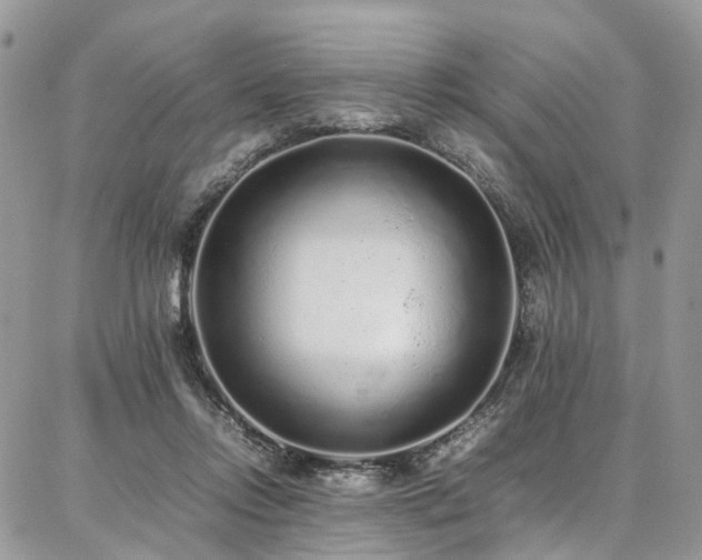 X0000087360358200704201153