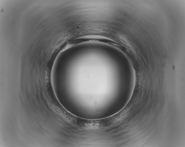X0000087360362200704201153