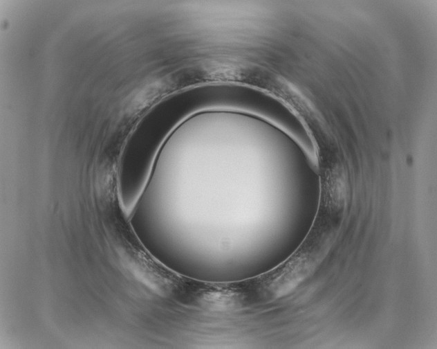 X0000087360364200704201153