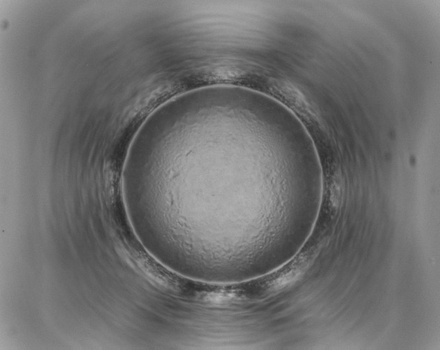 X0000087360366200704201153