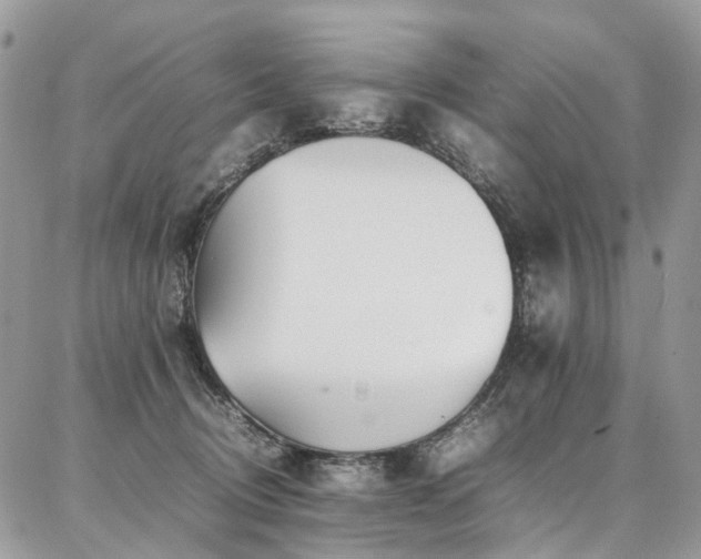 X0000087360370200704201153