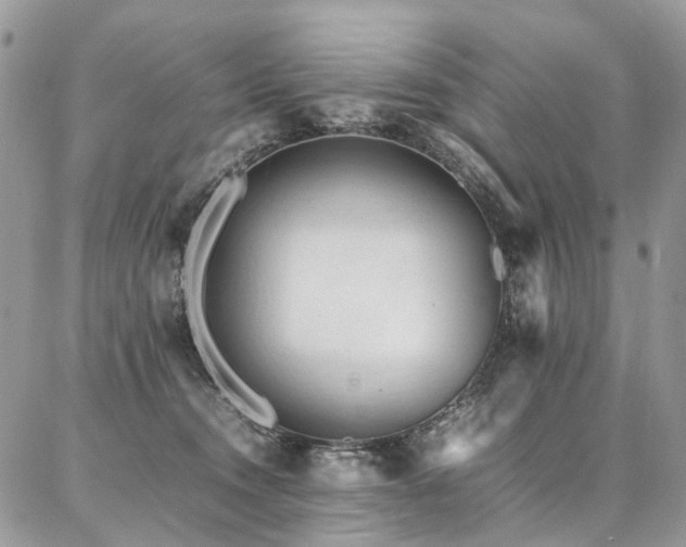 X0000087360372200704201153