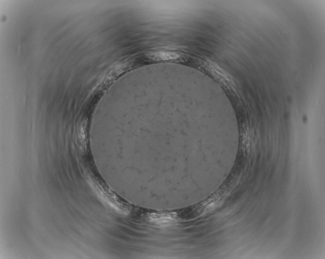 X0000087360373200704201153