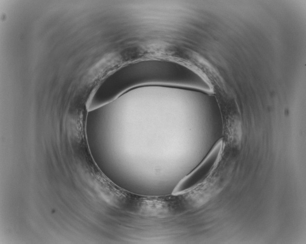 X0000087360376200704201153