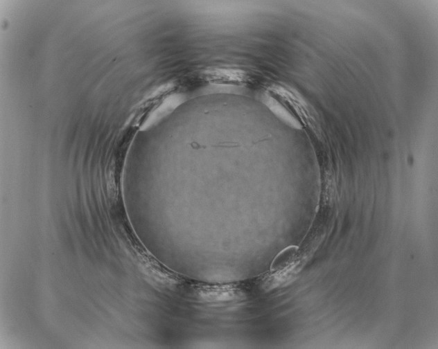 X0000087360377200704201153