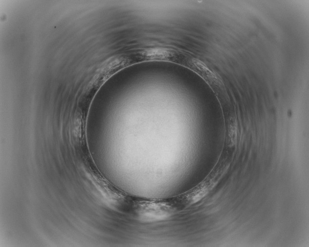 X0000087360379200704201153