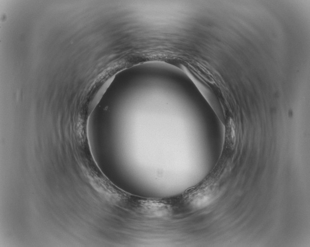 X0000087360380200704201153