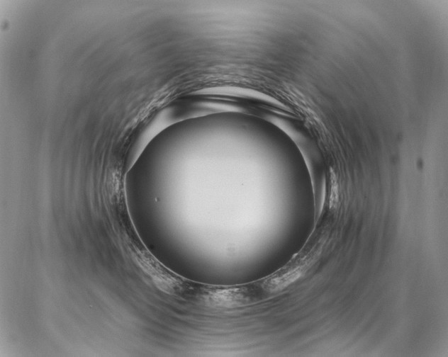 X0000087360382200704201153