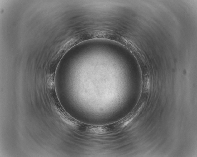 X0000087360383200704201153