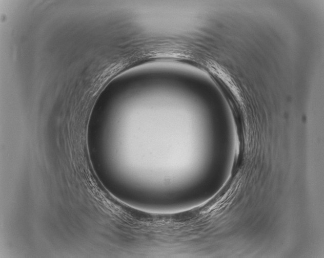 X0000087360385200704201152