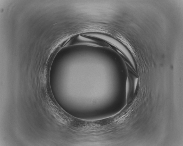 X0000087360387200704201152