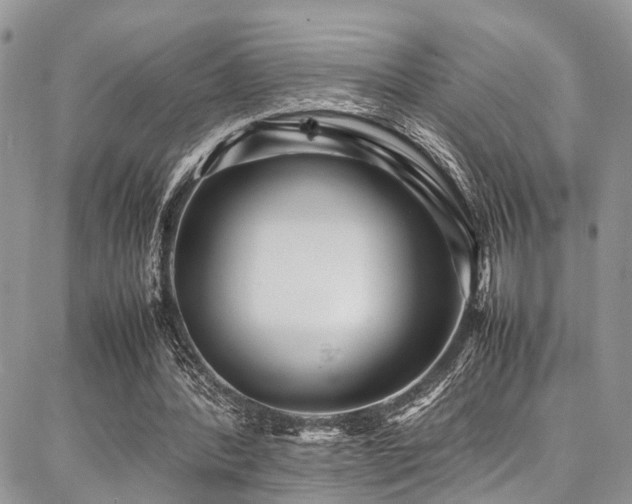 X0000087360388200704201152