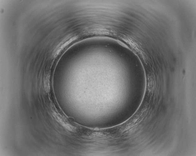 X0000087360390200704201152
