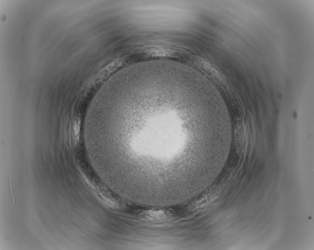 X0000087360406200704201152