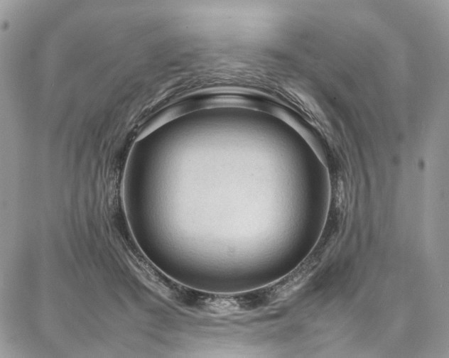 X0000087360409200704201152