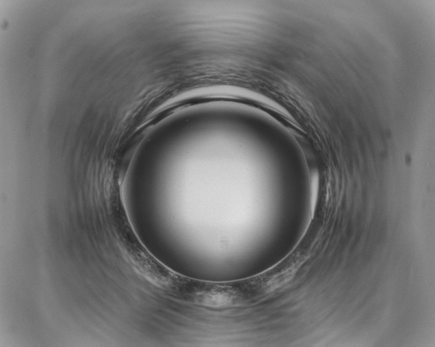 X0000087360412200704201152